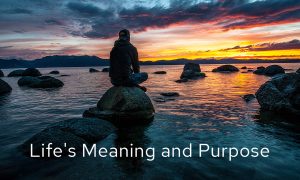 Life's Meaning And Purpose