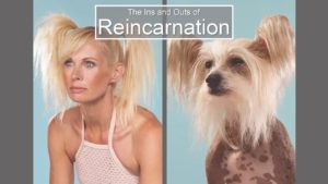 Reincarnation – The Ins And The Outs